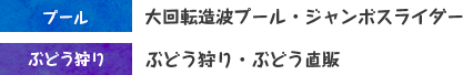 プール・ぶどう狩り