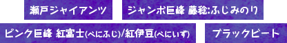 ぶどうの紹介